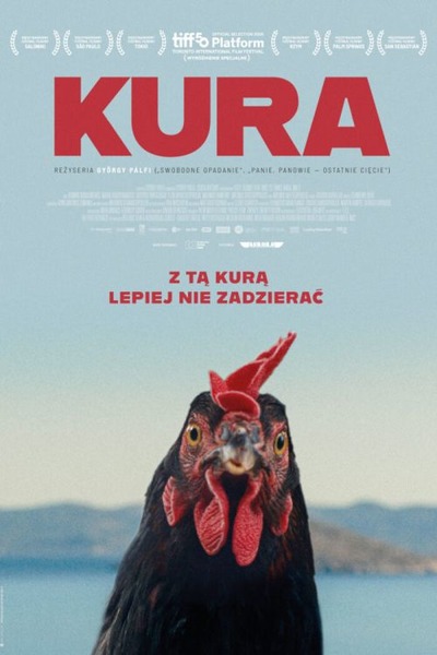 Plakat wydarzenia:  KURA